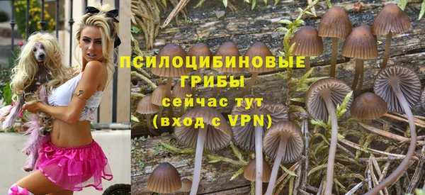 ГАЛЛЮЦИНОГЕННЫЕ ГРИБЫ Армянск